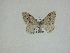  ( - 14-NCCC-240)  @12 [ ] Unspecified (default): All Rights Reserved  Unspecified Unspecified