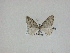  ( - 14-NCCC-241)  @12 [ ] Unspecified (default): All Rights Reserved  Unspecified Unspecified