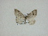  ( - 14-NCCC-242)  @12 [ ] Unspecified (default): All Rights Reserved  Unspecified Unspecified