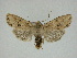 ( - 14-NCCC-267)  @14 [ ] Unspecified (default): All Rights Reserved  Unspecified Unspecified