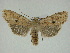  ( - 14-NCCC-270)  @14 [ ] Unspecified (default): All Rights Reserved  Unspecified Unspecified