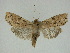  ( - 14-NCCC-274)  @14 [ ] Unspecified (default): All Rights Reserved  Unspecified Unspecified