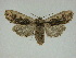  ( - 14-NCCC-275)  @13 [ ] Unspecified (default): All Rights Reserved  Unspecified Unspecified