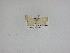  ( - 15-NCCC-041)  @13 [ ] Unspecified (default): All Rights Reserved  Unspecified Unspecified