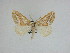  ( - 15-NCCC-048)  @13 [ ] Unspecified (default): All Rights Reserved  Unspecified Unspecified