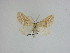  ( - 15-NCCC-049)  @13 [ ] Unspecified (default): All Rights Reserved  Unspecified Unspecified