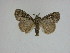  ( - 15-NCCC-083)  @13 [ ] Unspecified (default): All Rights Reserved  Unspecified Unspecified