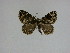  ( - 15-NCCC-088)  @13 [ ] Unspecified (default): All Rights Reserved  Unspecified Unspecified