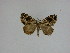  ( - 15-NCCC-089)  @13 [ ] Unspecified (default): All Rights Reserved  Unspecified Unspecified