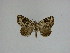 ( - 15-NCCC-090)  @13 [ ] Unspecified (default): All Rights Reserved  Unspecified Unspecified
