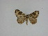  ( - 15-NCCC-091)  @13 [ ] Unspecified (default): All Rights Reserved  Unspecified Unspecified