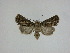  ( - 15-NCCC-115)  @13 [ ] Unspecified (default): All Rights Reserved  Unspecified Unspecified