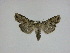  ( - 15-NCCC-129)  @13 [ ] Unspecified (default): All Rights Reserved  Unspecified Unspecified