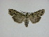  ( - 15-NCCC-130)  @13 [ ] Unspecified (default): All Rights Reserved  Unspecified Unspecified