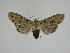  ( - 15-NCCC-131)  @13 [ ] Unspecified (default): All Rights Reserved  Unspecified Unspecified
