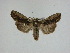  ( - 15-NCCC-133)  @13 [ ] Unspecified (default): All Rights Reserved  Unspecified Unspecified
