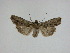  ( - 15-NCCC-134)  @13 [ ] Unspecified (default): All Rights Reserved  Unspecified Unspecified