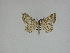  ( - 15-NCCC-140)  @13 [ ] Unspecified (default): All Rights Reserved  Unspecified Unspecified