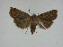  ( - 15-NCCC-146)  @13 [ ] Unspecified (default): All Rights Reserved  Unspecified Unspecified