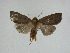  ( - 15-NCCC-155)  @13 [ ] Unspecified (default): All Rights Reserved  Unspecified Unspecified