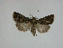  ( - 15-NCCC-156)  @13 [ ] Unspecified (default): All Rights Reserved  Unspecified Unspecified