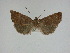  ( - 15-NCCC-160)  @12 [ ] Unspecified (default): All Rights Reserved  Unspecified Unspecified
