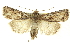  ( - CNCI00041234)  @14 [ ] CreativeCommons - Attribution (2014) CBG Photography Group Centre for Biodiversity Genomics