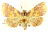  ( - CNCLEP00064355)  @14 [ ] CreativeCommons - Attribution (2014) CBG Photography Group Centre for Biodiversity Genomics