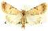  ( - CNCLEP00083366)  @11 [ ] CreativeCommons - Attribution (2014) CBG Photography Group Centre for Biodiversity Genomics