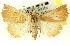  ( - CNCLEP00083855)  @11 [ ] CreativeCommons - Attribution (2014) CBG Photography Group Centre for Biodiversity Genomics