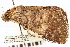  ( - CNCLEP00083878)  @14 [ ] CreativeCommons - Attribution (2014) CBG Photography Group Centre for Biodiversity Genomics