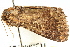  ( - CNCLEP00083879)  @13 [ ] CreativeCommons - Attribution (2014) CBG Photography Group Centre for Biodiversity Genomics