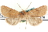  ( - CNCLEP00084053)  @11 [ ] CreativeCommons - Attribution (2014) CBG Photography Group Centre for Biodiversity Genomics