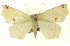  ( - CNCLEP00108455)  @14 [ ] CreativeCommons - Attribution (2014) CBG Photography Group Centre for Biodiversity Genomics