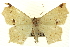  ( - CNCLEP00108459)  @14 [ ] CreativeCommons - Attribution (2014) CBG Photography Group Centre for Biodiversity Genomics