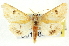  ( - CNCLEP00108558)  @13 [ ] CreativeCommons - Attribution (2014) CBG Photography Group Centre for Biodiversity Genomics