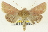  ( - CNCLEP00108560)  @14 [ ] CreativeCommons - Attribution (2014) CBG Photography Group Centre for Biodiversity Genomics