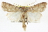  ( - CNCLEP00108580)  @13 [ ] CreativeCommons - Attribution (2014) CBG Photography Group Centre for Biodiversity Genomics