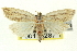  ( - CNCLEP00113287)  @14 [ ] CreativeCommons - Attribution (2014) CBG Photography Group Centre for Biodiversity Genomics