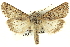  ( - CNCLEP00113324)  @14 [ ] CreativeCommons - Attribution (2014) CBG Photography Group Centre for Biodiversity Genomics