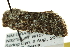  ( - CNCLEP00113344)  @12 [ ] CreativeCommons - Attribution (2014) CBG Photography Group Centre for Biodiversity Genomics