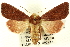  ( - CNCLEP00113361)  @14 [ ] CreativeCommons - Attribution (2014) CBG Photography Group Centre for Biodiversity Genomics