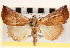  ( - CNCLEP00117808)  @14 [ ] CreativeCommons - Attribution (2014) CBG Photography Group Centre for Biodiversity Genomics