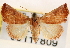 ( - CNCLEP00117809)  @14 [ ] CreativeCommons - Attribution (2014) CBG Photography Group Centre for Biodiversity Genomics