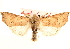  ( - CNCLEP00117904)  @14 [ ] CreativeCommons - Attribution (2014) CBG Photography Group Centre for Biodiversity Genomics