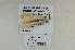  ( - CNCLEP00140394)  @11 [ ] CreativeCommons  Attribution Share-Alike (by-sa) (2010) Canadian National Collection of Insects, Arachnids and Nematodes Canadian National Collection of Insects, Arachnids and Nematodes