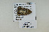  ( - CNCLEP00140397)  @12 [ ] CreativeCommons  Attribution Share-Alike (by-sa) (2010) Canadian National Collection of Insects, Arachnids and Nematodes Canadian National Collection of Insects, Arachnids and Nematodes