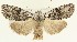  ( - DH028002)  @11 [ ] CreativeCommons  Attribution (by) (2018) Daniel Handfield Unspecified