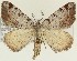  ( - DH026849)  @11 [ ] CreativeCommons  Attribution (by) (2018) Daniel Handfield Unspecified