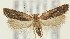  ( - MDH019107)  @13 [ ] CreativeCommons  Attribution (by) (2018) Daniel Handfield Unspecified